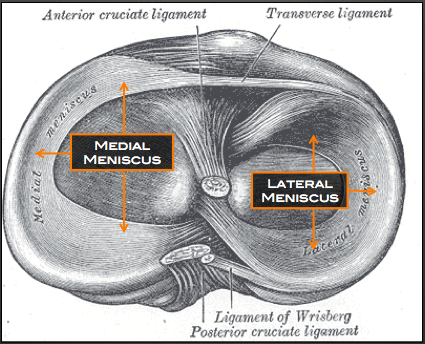 Meniscus Tears