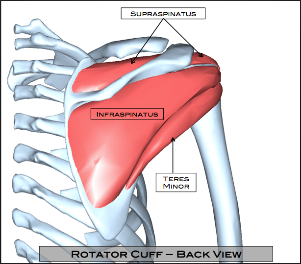 Rotator Cuff Tear