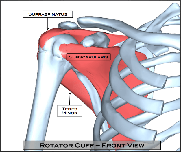 Rotator Cuff Tear